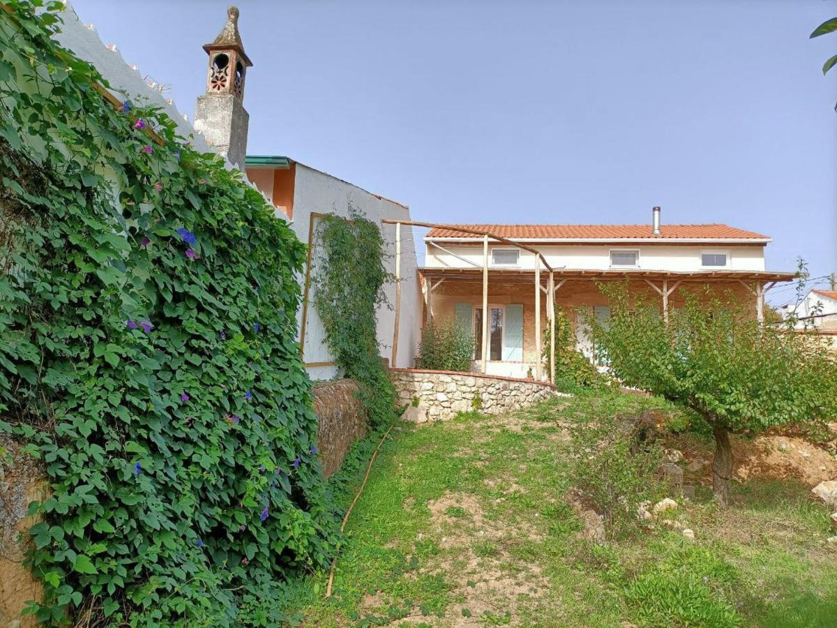 Casalinho In Portugal Country House 토마르 외부 사진