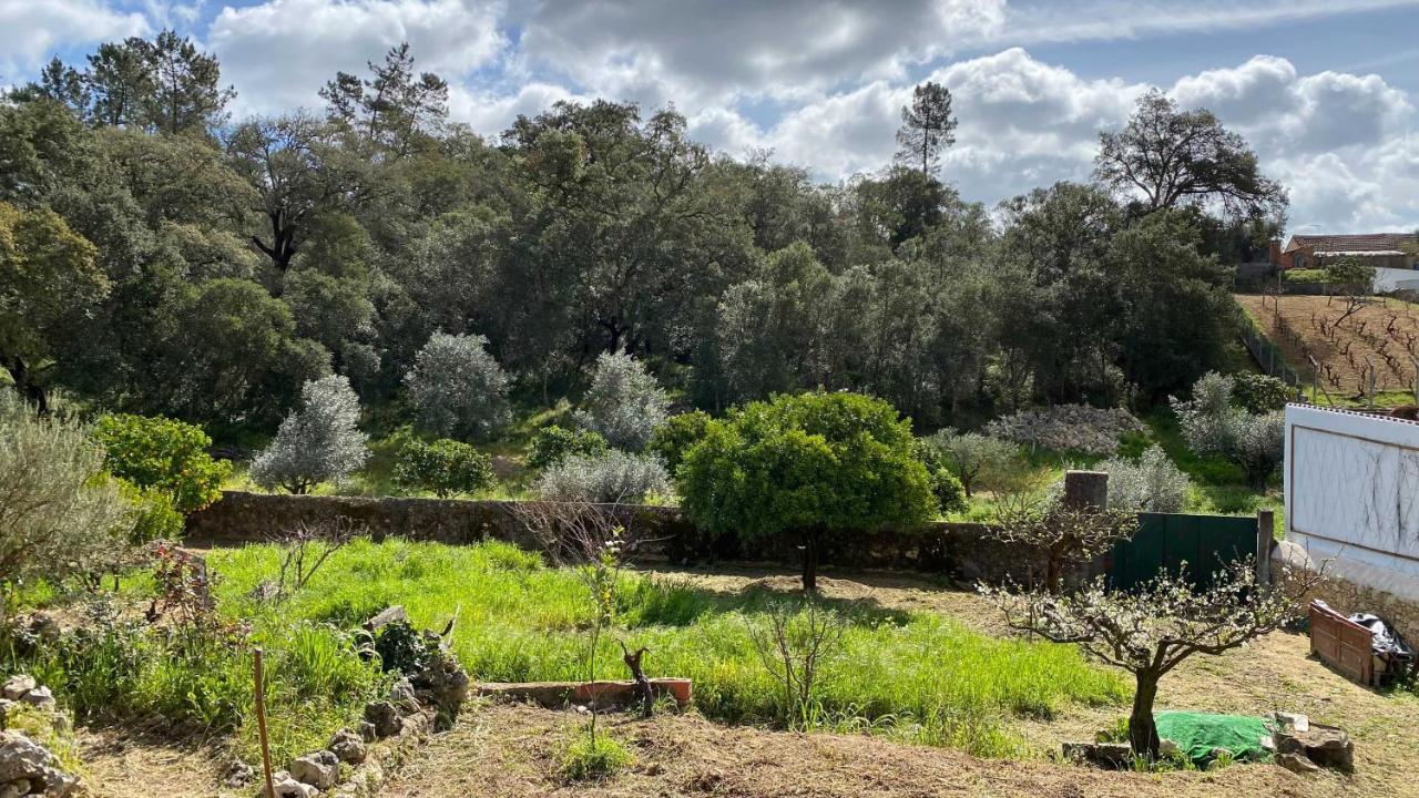 Casalinho In Portugal Country House 토마르 외부 사진