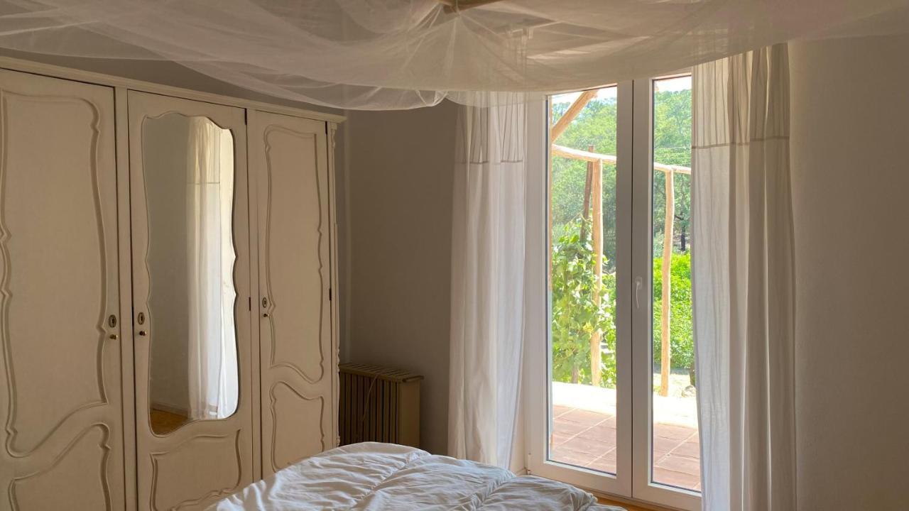 Casalinho In Portugal Country House 토마르 외부 사진